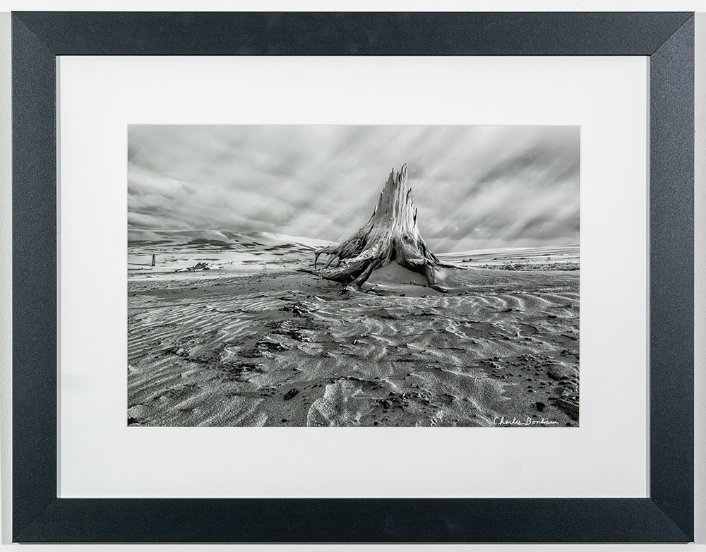 CHARLES BONHAM - 'Wild West MI, Silver Dunes' - Photo - 21 x 27 - $159