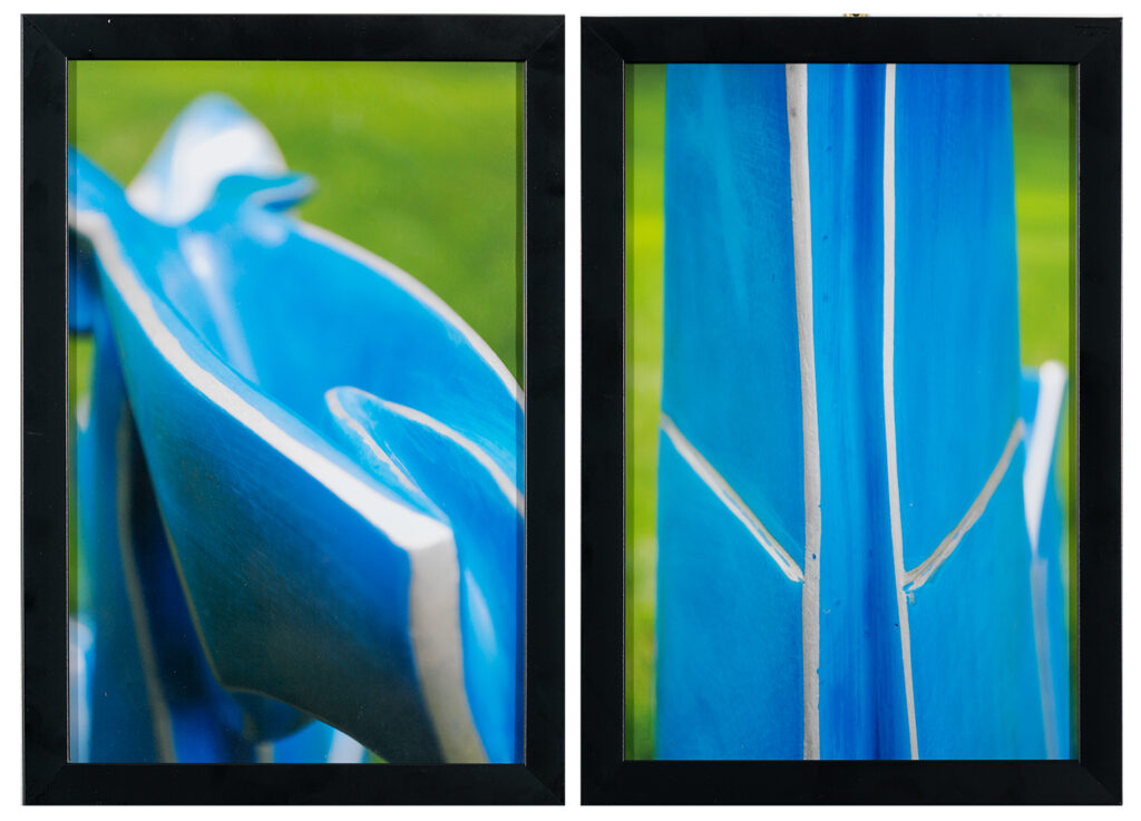 ARLO TURPIN - Dueling Blues - Photography - 13 x 9 each - $80 for pair