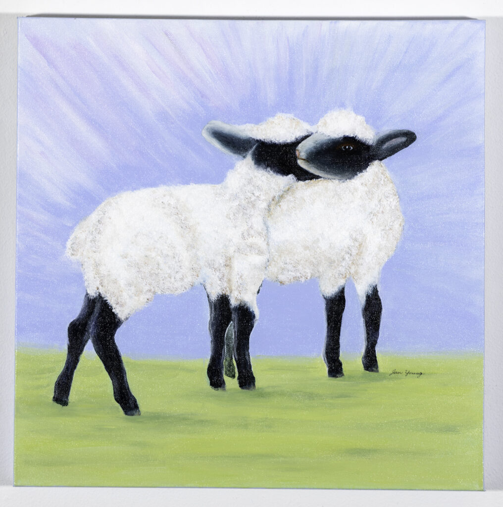 JAN YOUNG - Two Ewe - Acrylic - 20x20 - $250