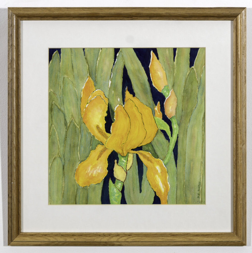 PATRICIA YOCKEY - Iris - Watercolor - 17.75 x 17.75 - $150