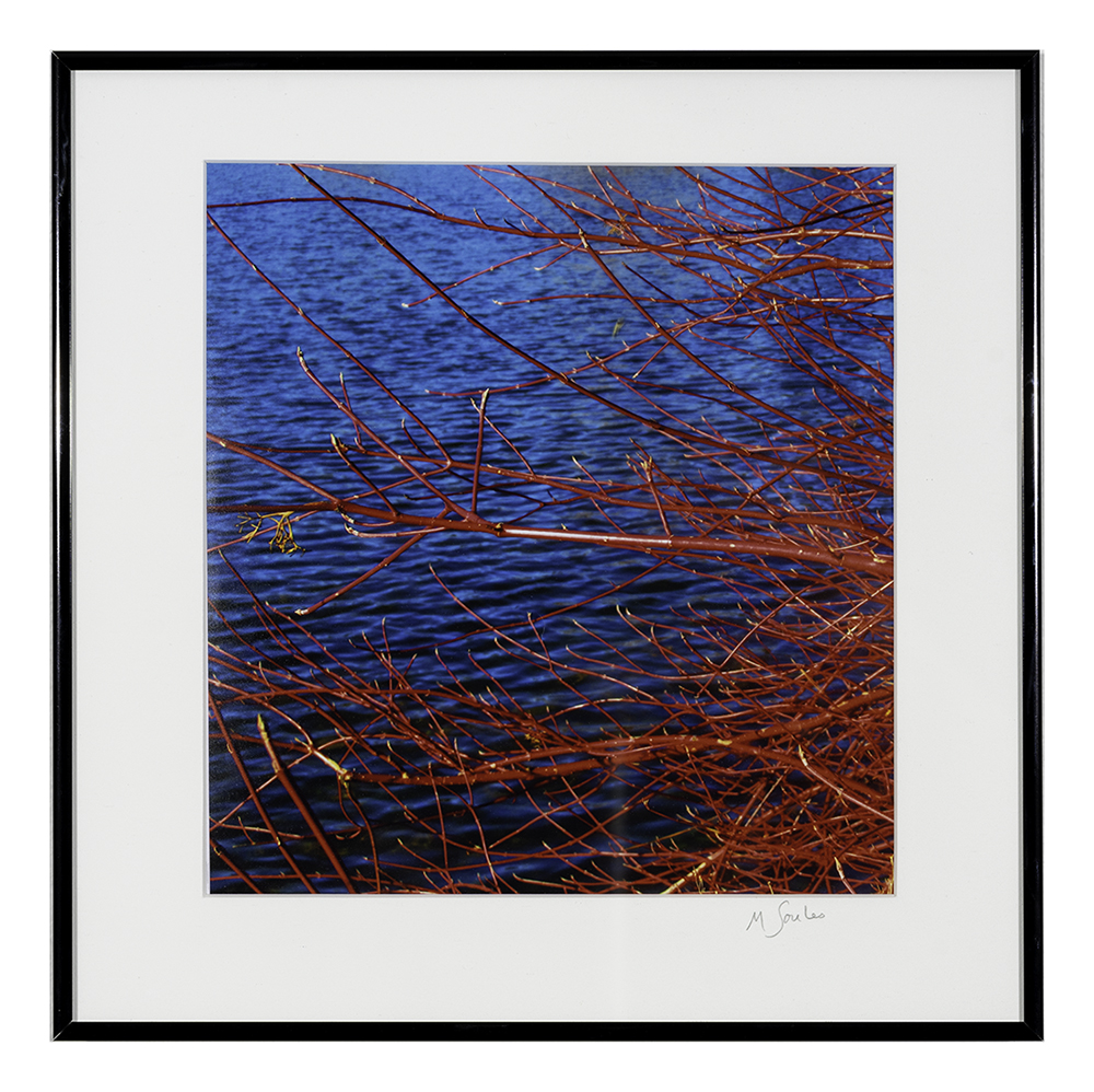 Marilyn Soules_Primary Colors_Photograph_$150